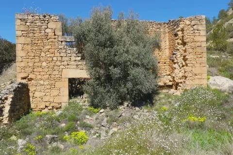 Finca/Casa Rural en Caseres en venta - 27.000 € (Ref: 9721048)