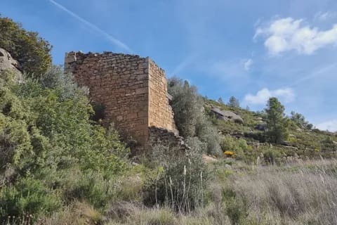 Finca/Casa Rural en Caseres en venta - 27.000 € (Ref: 9721048)