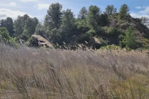 Finca/Herregård til salgs i Caseres - € 27 000 (Ref: 9721048)