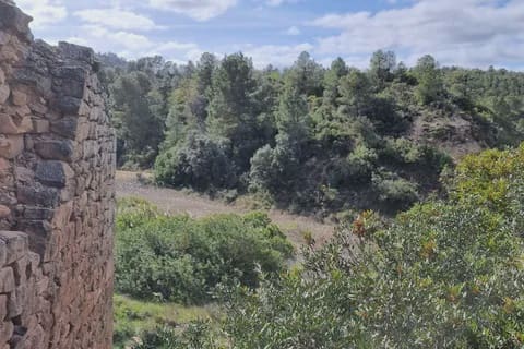 Finca/Herregård til salgs i Caseres - € 27 000 (Ref: 9721048)