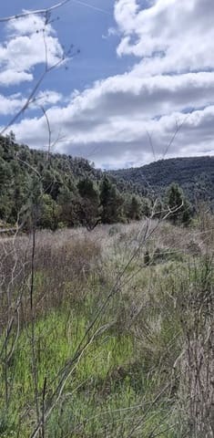 Finca/Casa Rural en Caseres en venta - 7.000 € (Ref: 9727673)