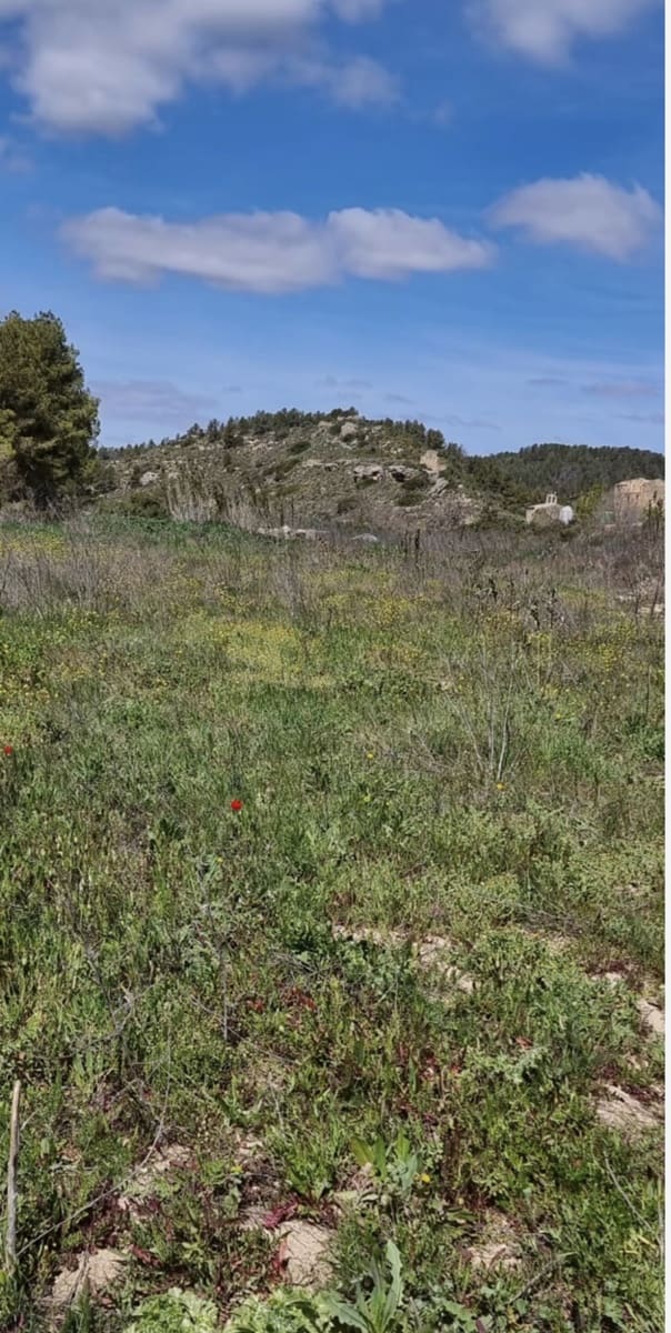 Finca/Casa di Campagna in vendita in Caseres - 7.000 € (Rif: 9727673)