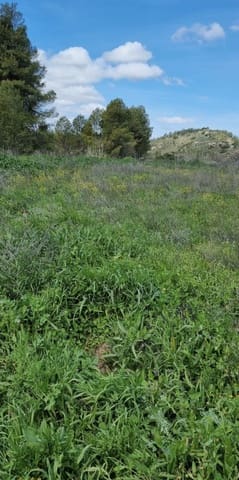 Finca/Casa Rural en Caseres en venta - 7.000 € (Ref: 9727673)