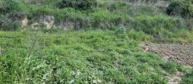 Finca/Casa Rural en Caseres en venta - 7.000 € (Ref: 9727673)