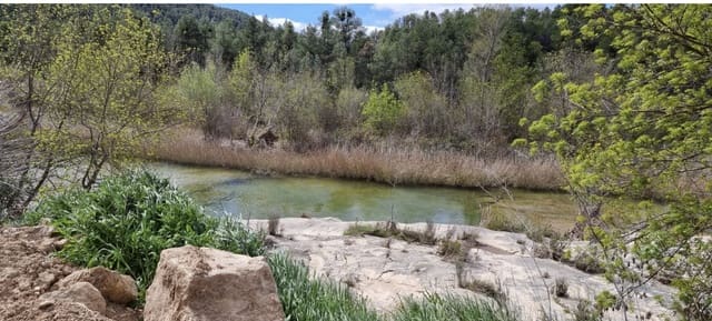 Finca/Casa Rural en Caseres en venta - 7.000 € (Ref: 9727673)