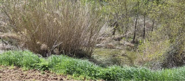 Finca/Casa Rural en Caseres en venta - 7.000 € (Ref: 9727673)