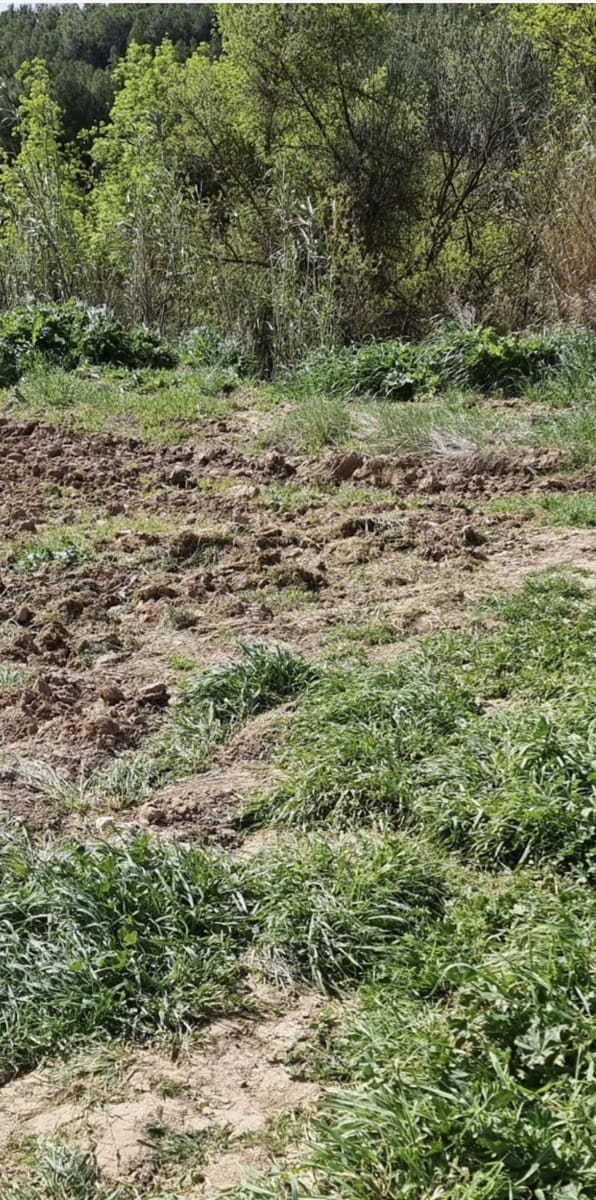 Finca/Casa di Campagna in vendita in Caseres - 7.000 € (Rif: 9727673)