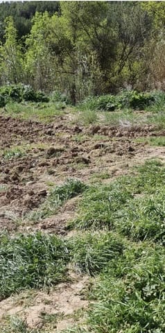 Finca/Casa Rural en Caseres en venta - 7.000 € (Ref: 9727673)