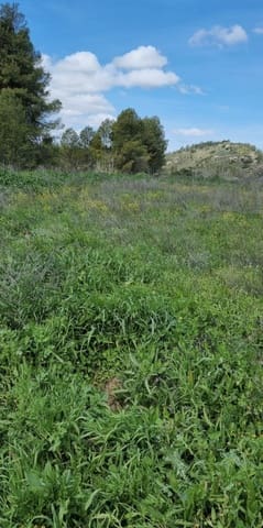Finca/Landhuis te koop in Caseres - € 7.000 (Ref: 9727673)