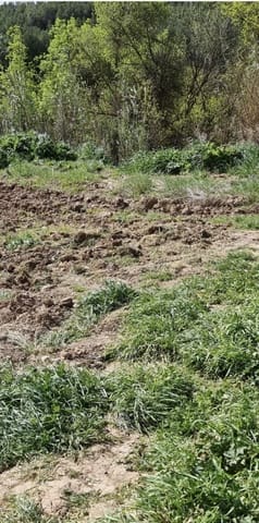 Finca/Landhuis te koop in Caseres - € 7.000 (Ref: 9727673)