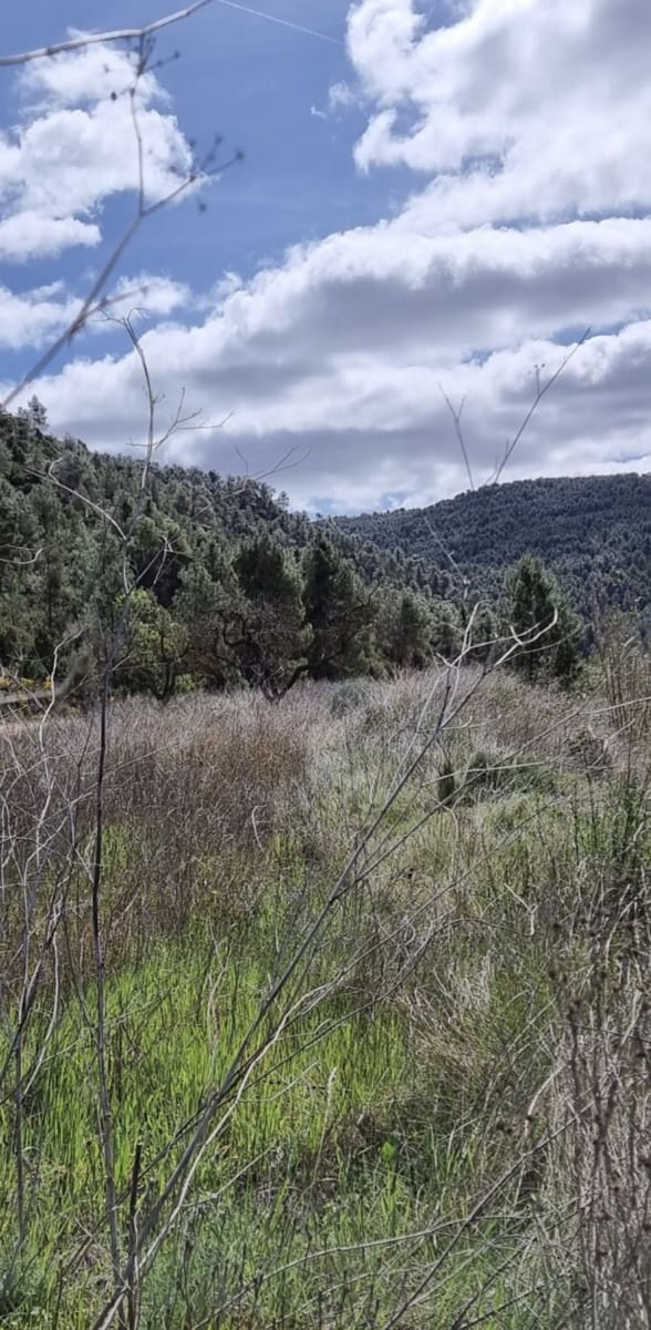Finca/Country House for sale in Caseres - € 7,000 (Ref: 9727673)