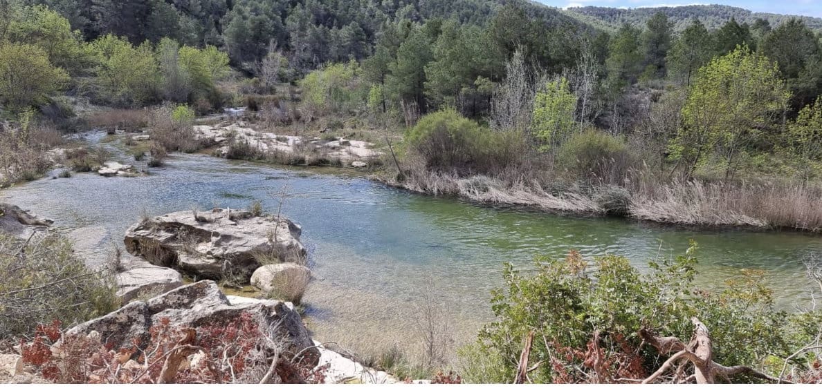 Finca/Country House for sale in Caseres - € 7,000 (Ref: 9727673)