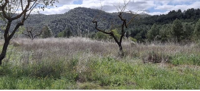 Finca/Landhuis te koop in Caseres - € 7.000 (Ref: 9727673)