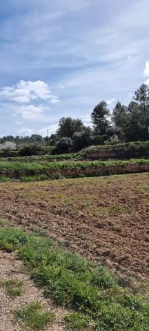 Finca/Casa Rural en Caseres en venta - 6.000 € (Ref: 9729526)