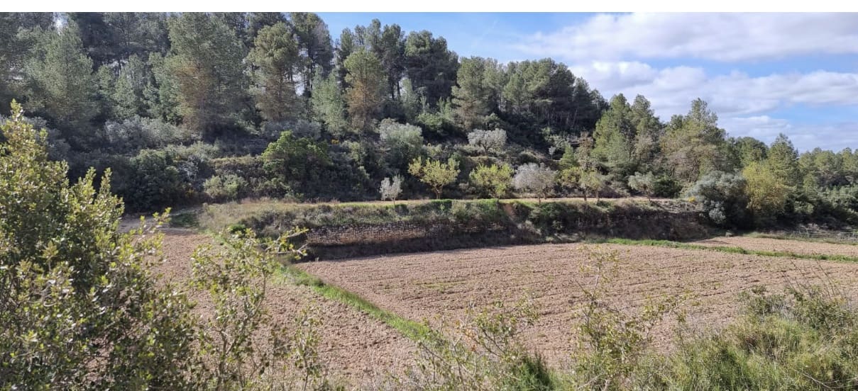 Finca/Landhuis te koop in Caseres - € 6.000 (Ref: 9729526)