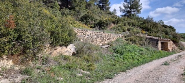 Finca/Casa Rural en Caseres en venta - 6.000 € (Ref: 9729526)