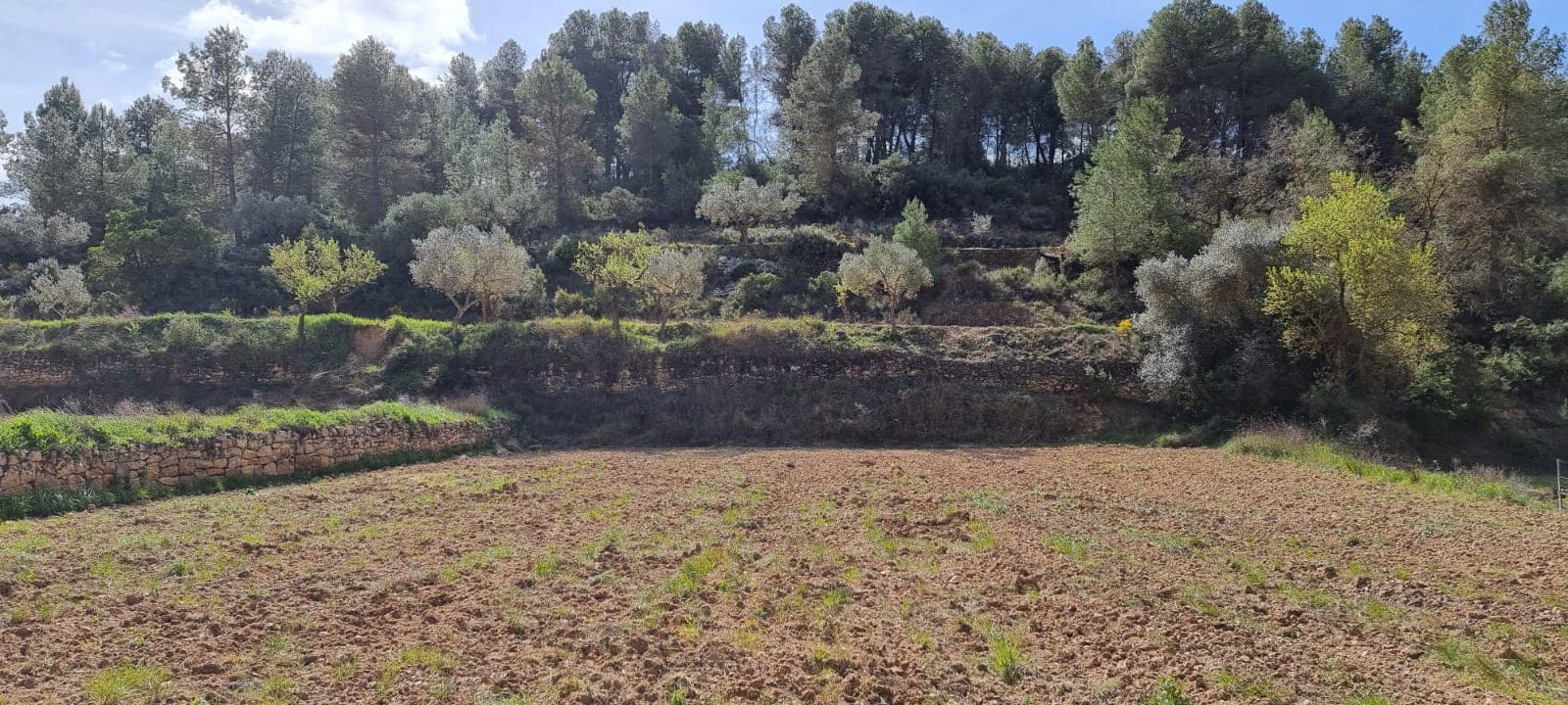 Finca/Landhuis te koop in Caseres - € 6.000 (Ref: 9729526)