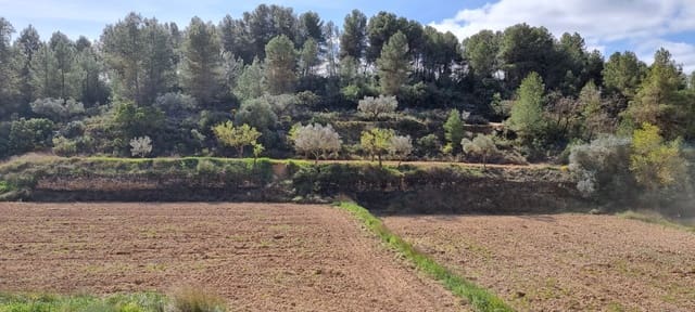 Finca/Casa Rural en Caseres en venta - 6.000 € (Ref: 9729526)
