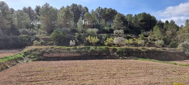 Finca/Casa Rural en Caseres en venta - 6.000 € (Ref: 9729526)