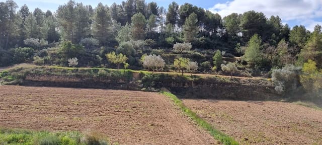 Finca/Casa Rural en Caseres en venta - 6.000 € (Ref: 9729526)