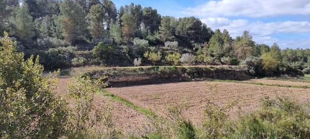 Finca/Casa Rural en Caseres en venta - 6.000 € (Ref: 9729526)
