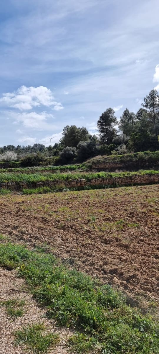 Finca/Country House for sale in Caseres - € 6,000 (Ref: 9729526)