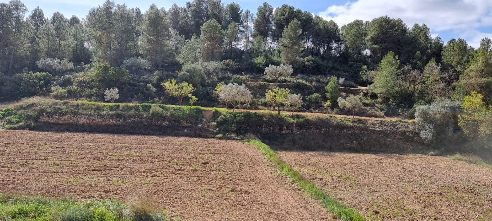 Finca/Country House for sale in Caseres - € 6,000 (Ref: 9729526)
