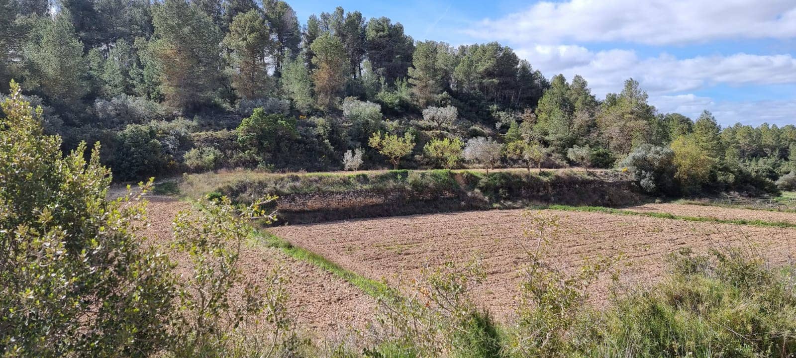 Finca/Country House for sale in Caseres - € 6,000 (Ref: 9729526)