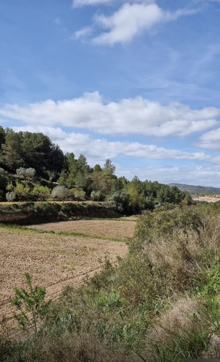 Finca/Country House for sale in Caseres - € 6,000 (Ref: 9729526)