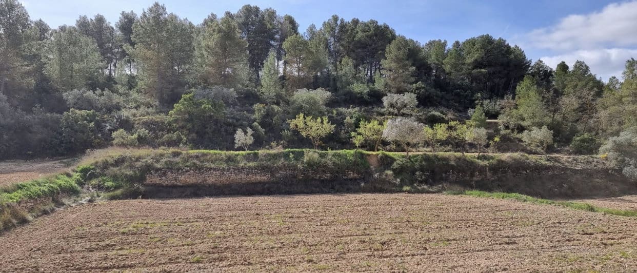 Finca/Country House for sale in Caseres - € 6,000 (Ref: 9729526)