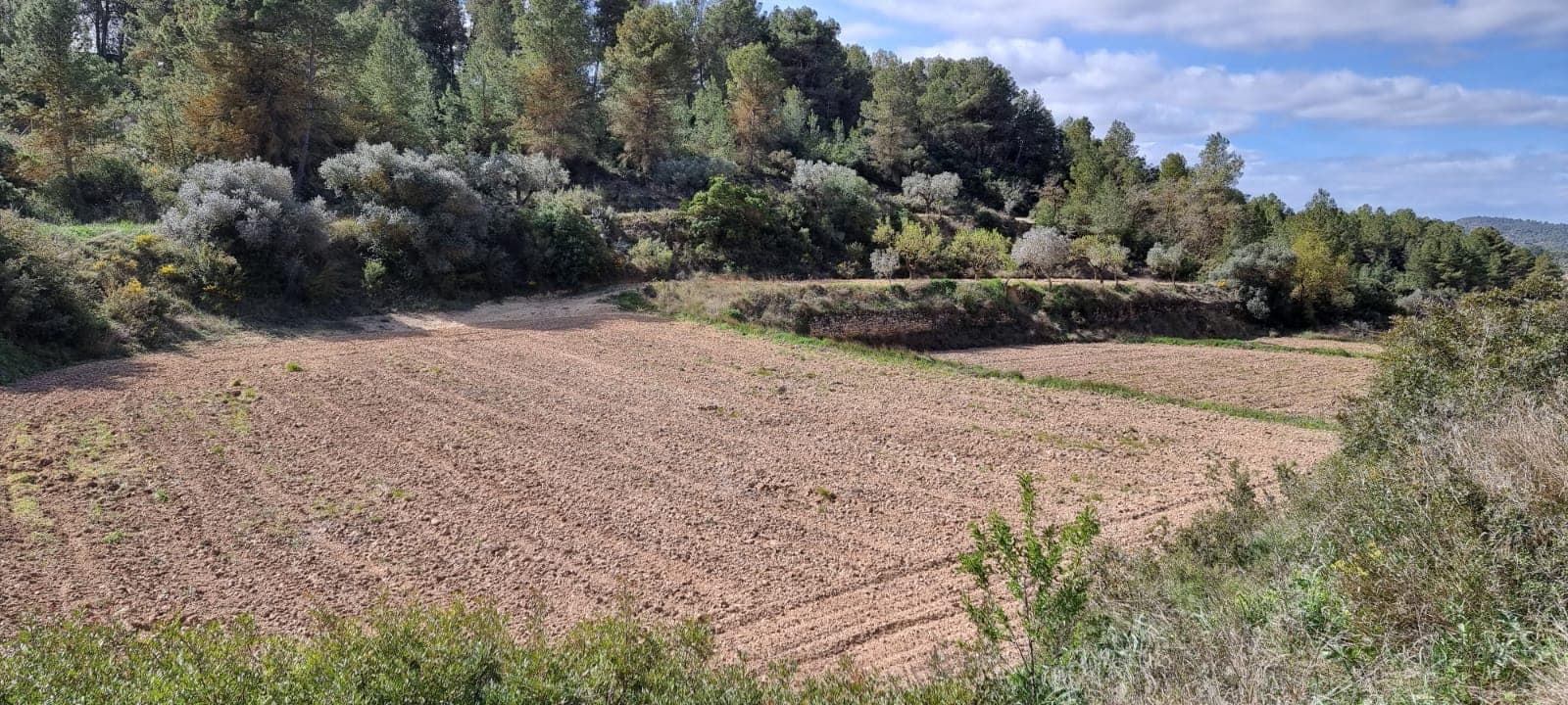 Finca/Country House for sale in Caseres - € 6,000 (Ref: 9729526)