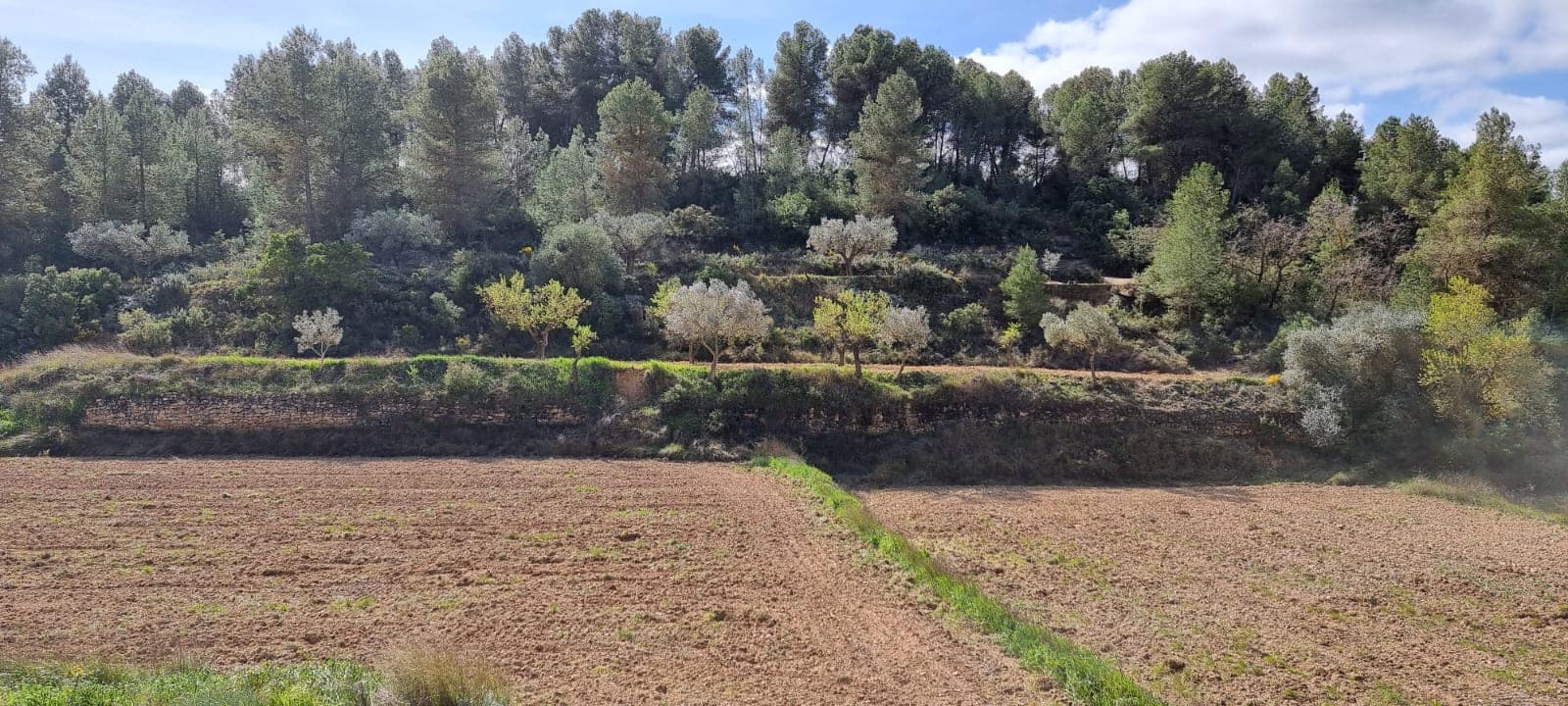 Finca/Country House for sale in Caseres - € 6,000 (Ref: 9729526)