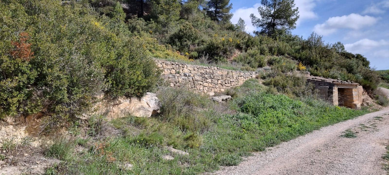 Finca/Country House for sale in Caseres - € 6,000 (Ref: 9729526)