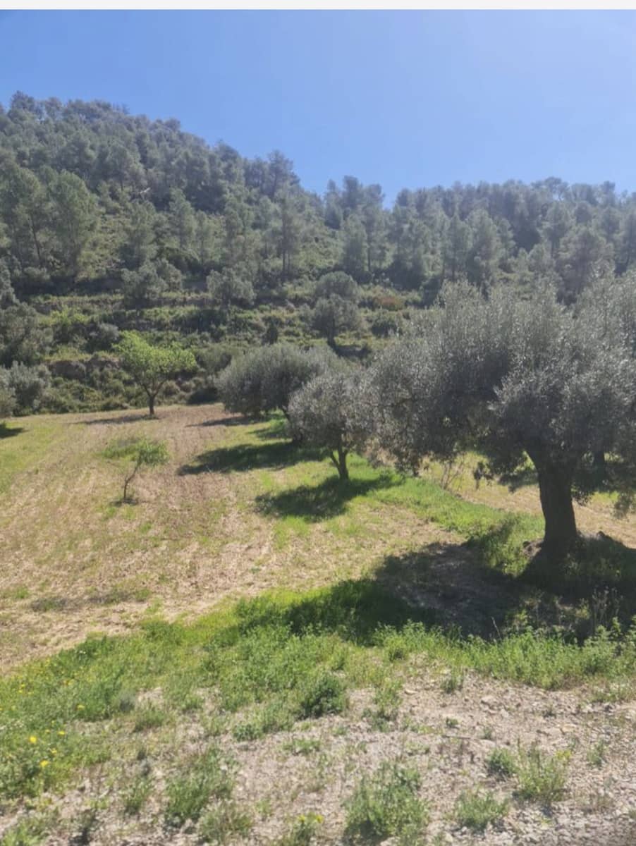 1 soveværelse Finca/Landehus til salg i Mora d'Ebre - € 21.000 (Ref: 9746774)