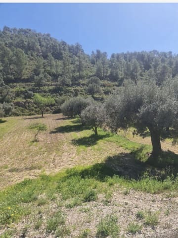 1 soveværelse Finca/Landehus til salg i Móra d'Ebre - € 21.000 (Ref: 9746774)