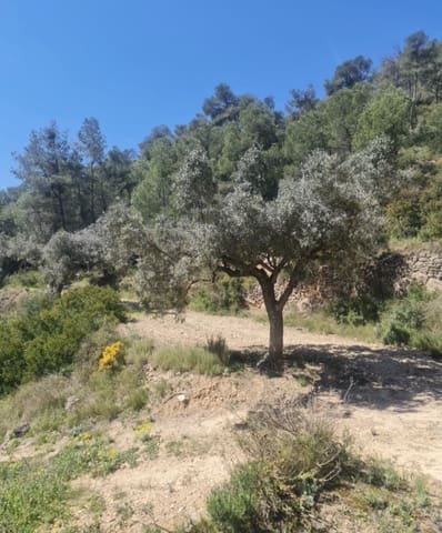 1 soveværelse Finca/Landehus til salg i Móra d'Ebre - € 21.000 (Ref: 9746774)