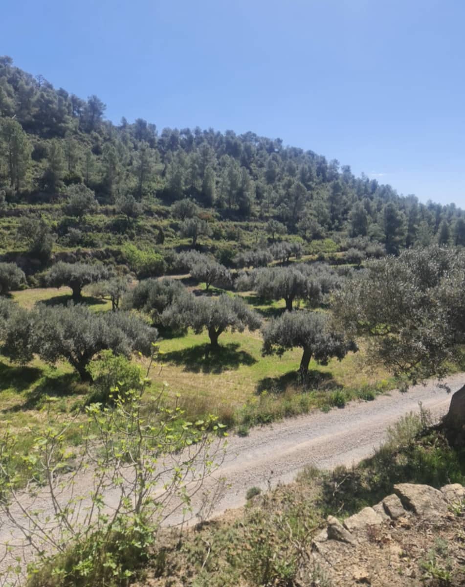 1 soveværelse Finca/Landehus til salg i Mora d'Ebre - € 21.000 (Ref: 9746774)