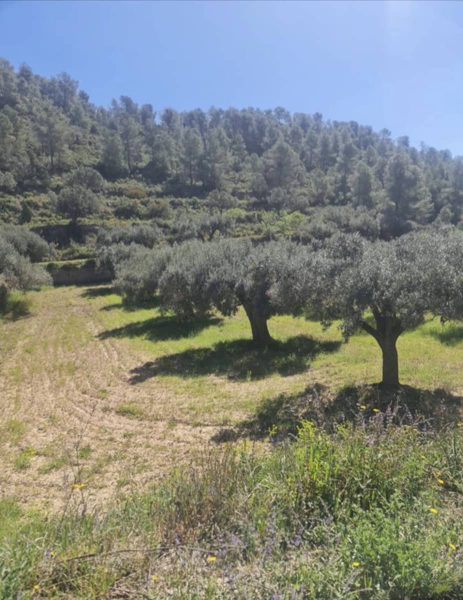 1 soveværelse Finca/Landehus til salg i Mora d'Ebre - € 21.000 (Ref: 9746774)