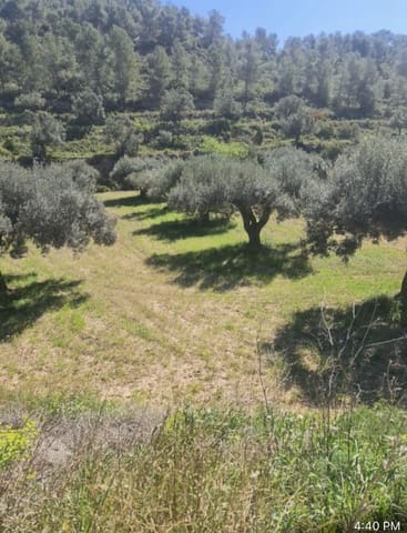1 soveværelse Finca/Landehus til salg i Móra d'Ebre - € 21.000 (Ref: 9746774)
