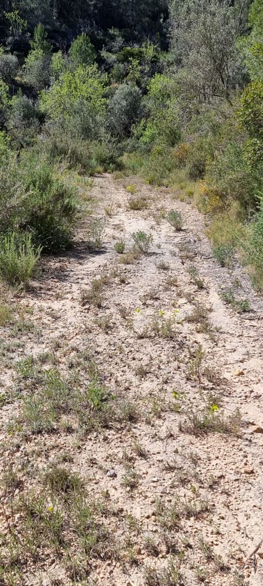 Finca/Landehus til salg i Benifallet - € 27.000 (Ref: 9746810)