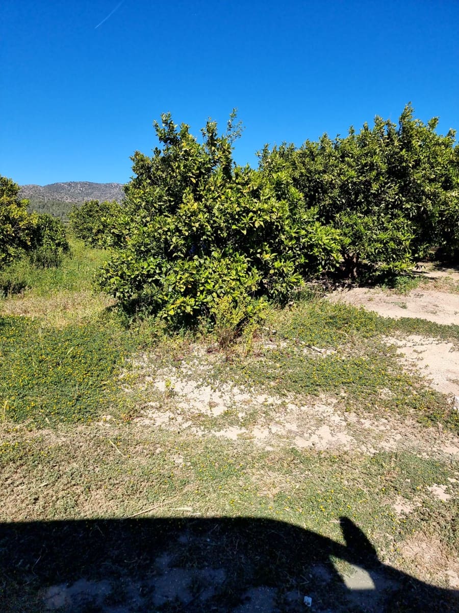 Finca/Landehus til salg i Benifallet - € 27.000 (Ref: 9746810)