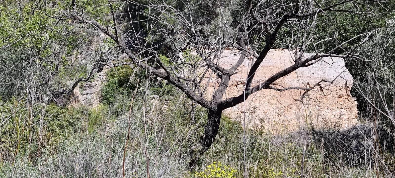 Finca/Landehus til salg i Benifallet - € 27.000 (Ref: 9746810)