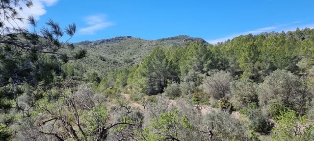 Finca/Landehus til salg i Benifallet - € 27.000 (Ref: 9746810)