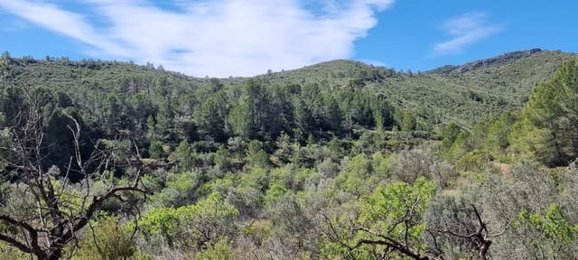 Finca/Landehus til salg i Benifallet - € 27.000 (Ref: 9746810)