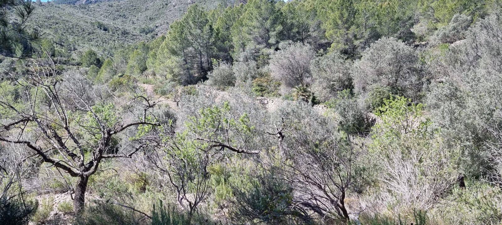 Finca/Landehus til salg i Benifallet - € 27.000 (Ref: 9746810)