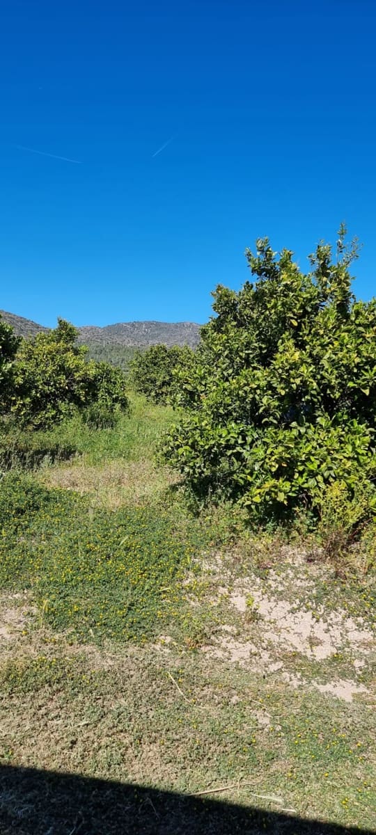 Finca/Country House for sale in Benifallet - € 27,000 (Ref: 9746810)