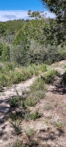 Finca/Herregård til salgs i Benifallet - € 27 000 (Ref: 9746810)