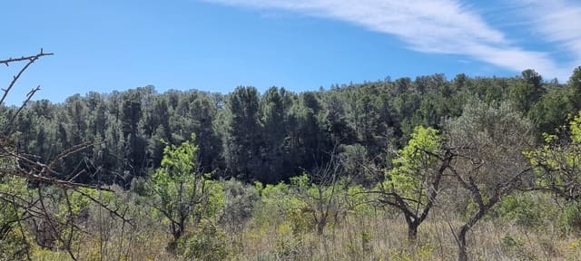 Finca/Herregård til salgs i Benifallet - € 27 000 (Ref: 9746810)