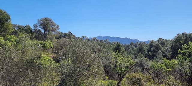 Finca/Herregård til salgs i Benifallet - € 27 000 (Ref: 9746810)