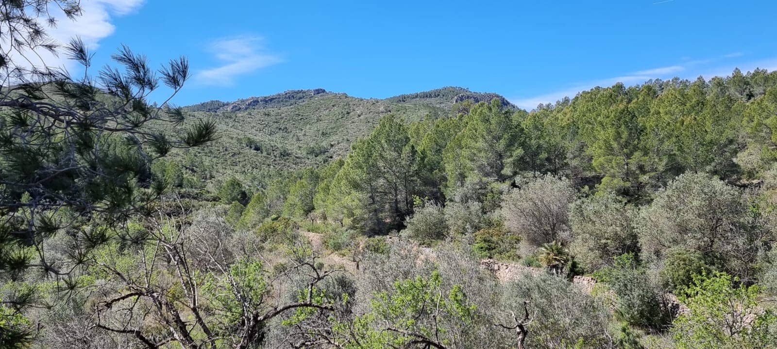 Finca/Country House for sale in Benifallet - € 27,000 (Ref: 9746810)